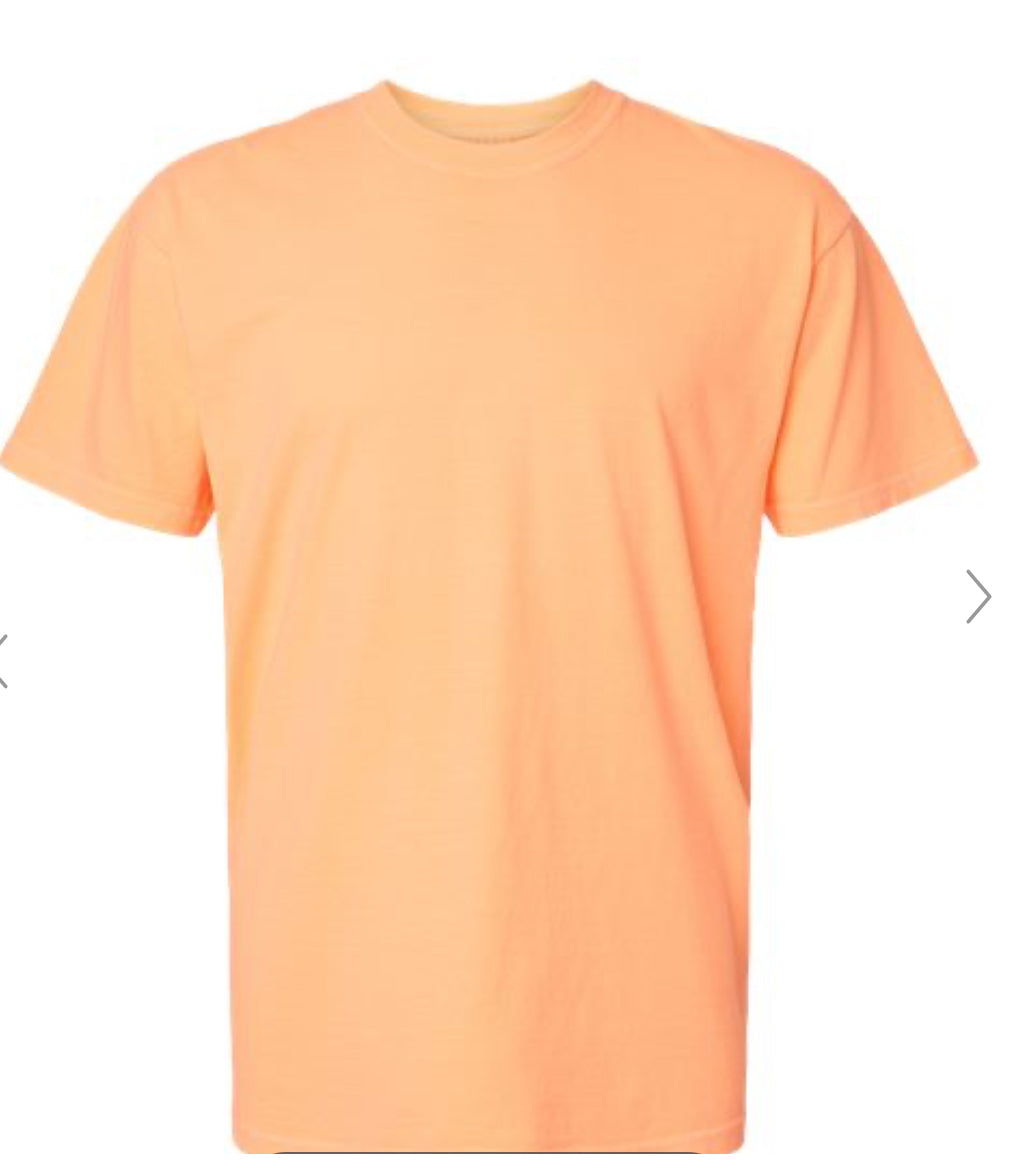 Comfort Color Tees Short Sleeve