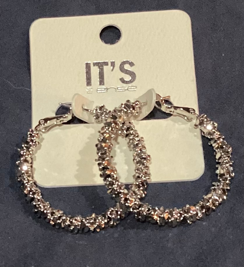 Silver shiny hoops
