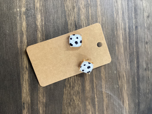 Dalmatian gold studs